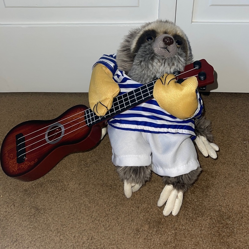 Dog costume.